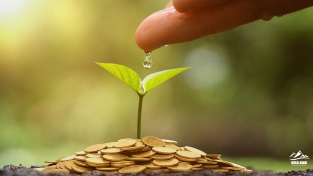 Microfinance Without Interest: Can Islamic Microfinance Pull Pakistan Out of Poverty?